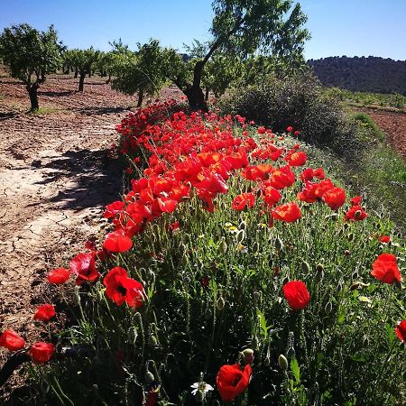 Cortijo Los Soledad El Sauco 외부 사진