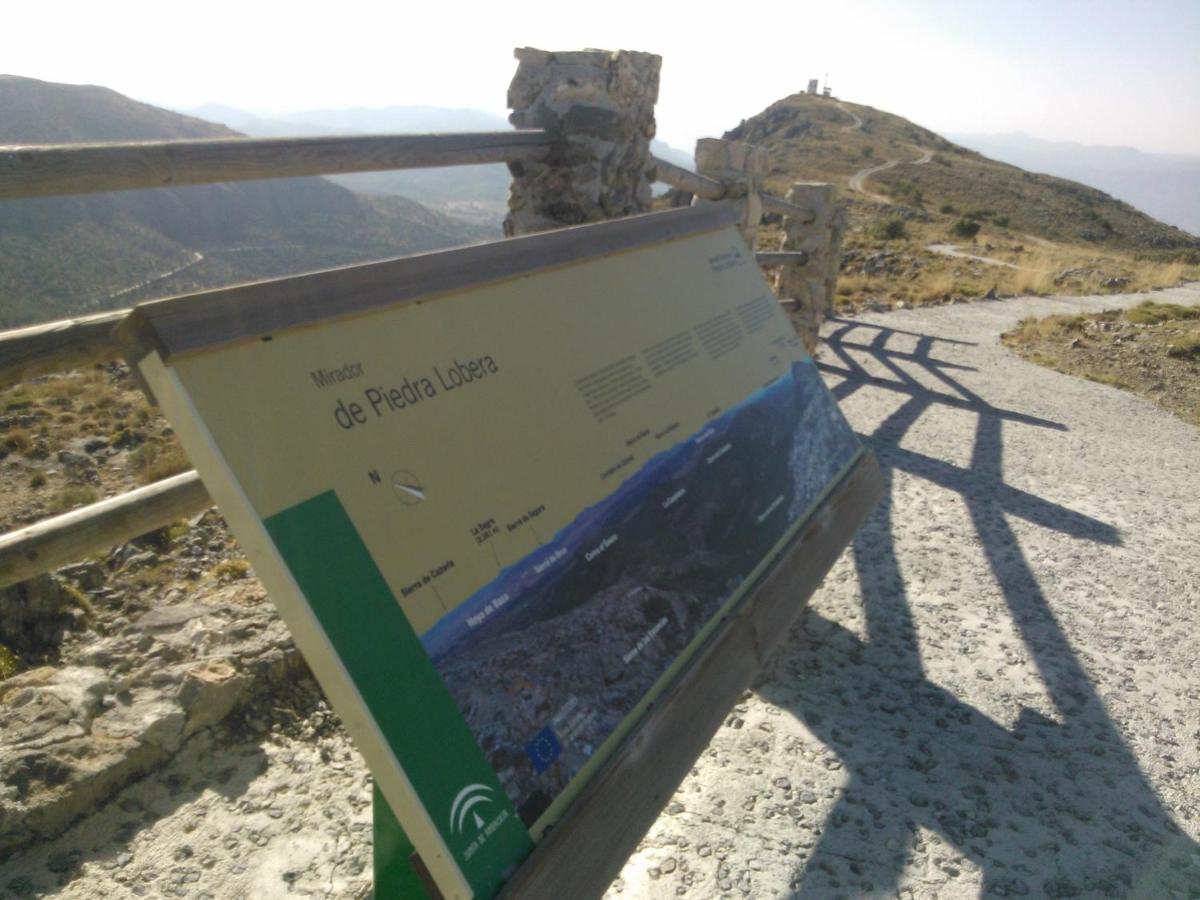 Cortijo Los Soledad El Sauco 외부 사진