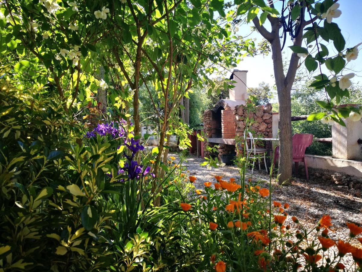 Cortijo Los Soledad El Sauco 외부 사진