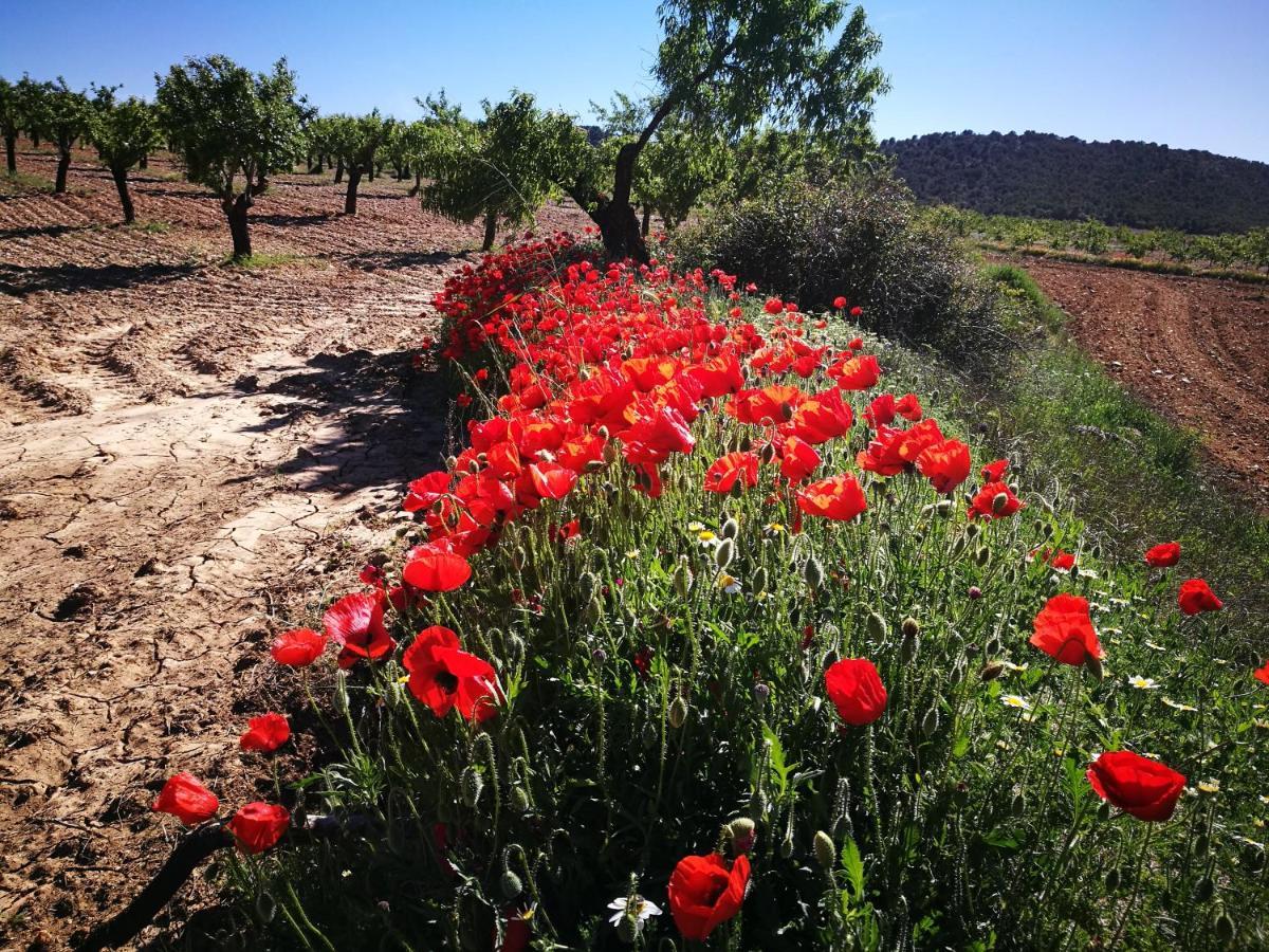 Cortijo Los Soledad El Sauco 외부 사진