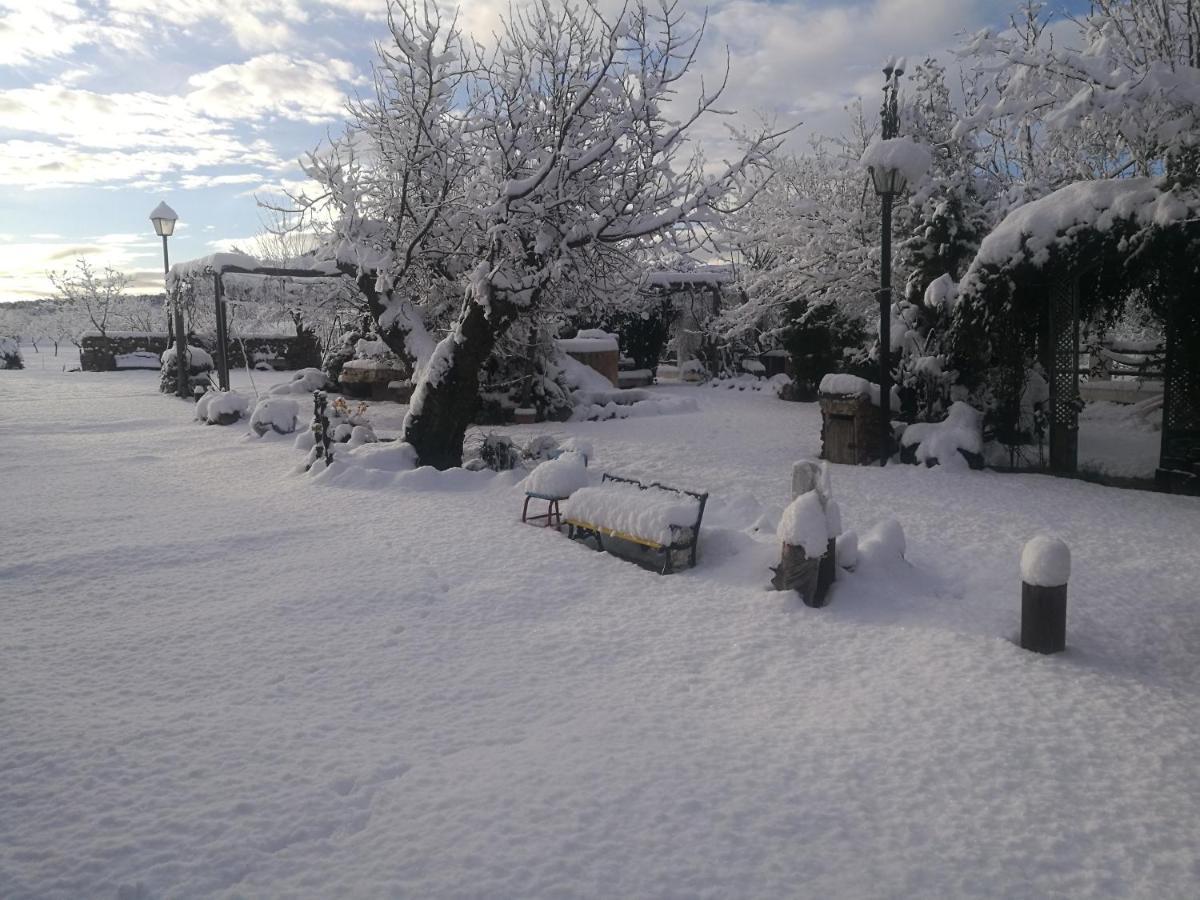 Cortijo Los Soledad El Sauco 외부 사진