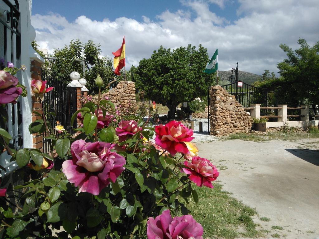 Cortijo Los Soledad El Sauco 외부 사진