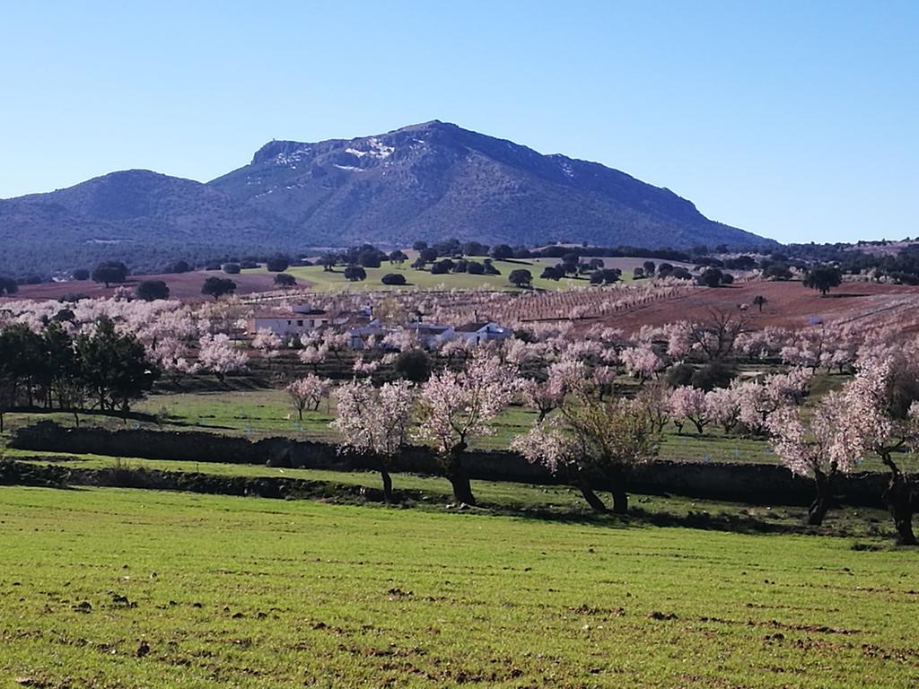 Cortijo Los Soledad El Sauco 외부 사진