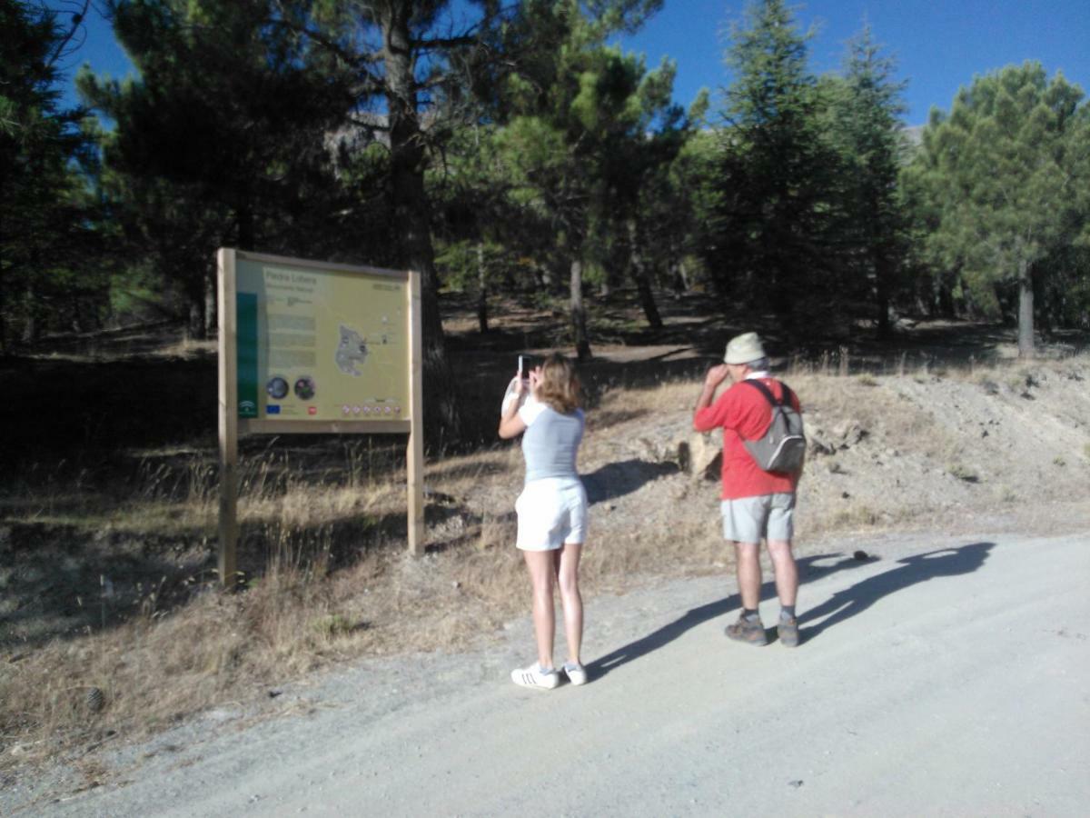 Cortijo Los Soledad El Sauco 외부 사진