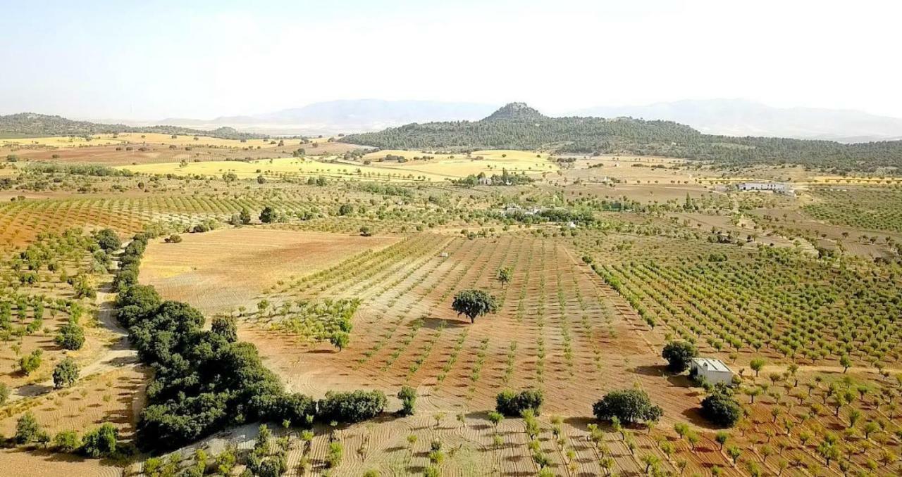 Cortijo Los Soledad El Sauco 외부 사진
