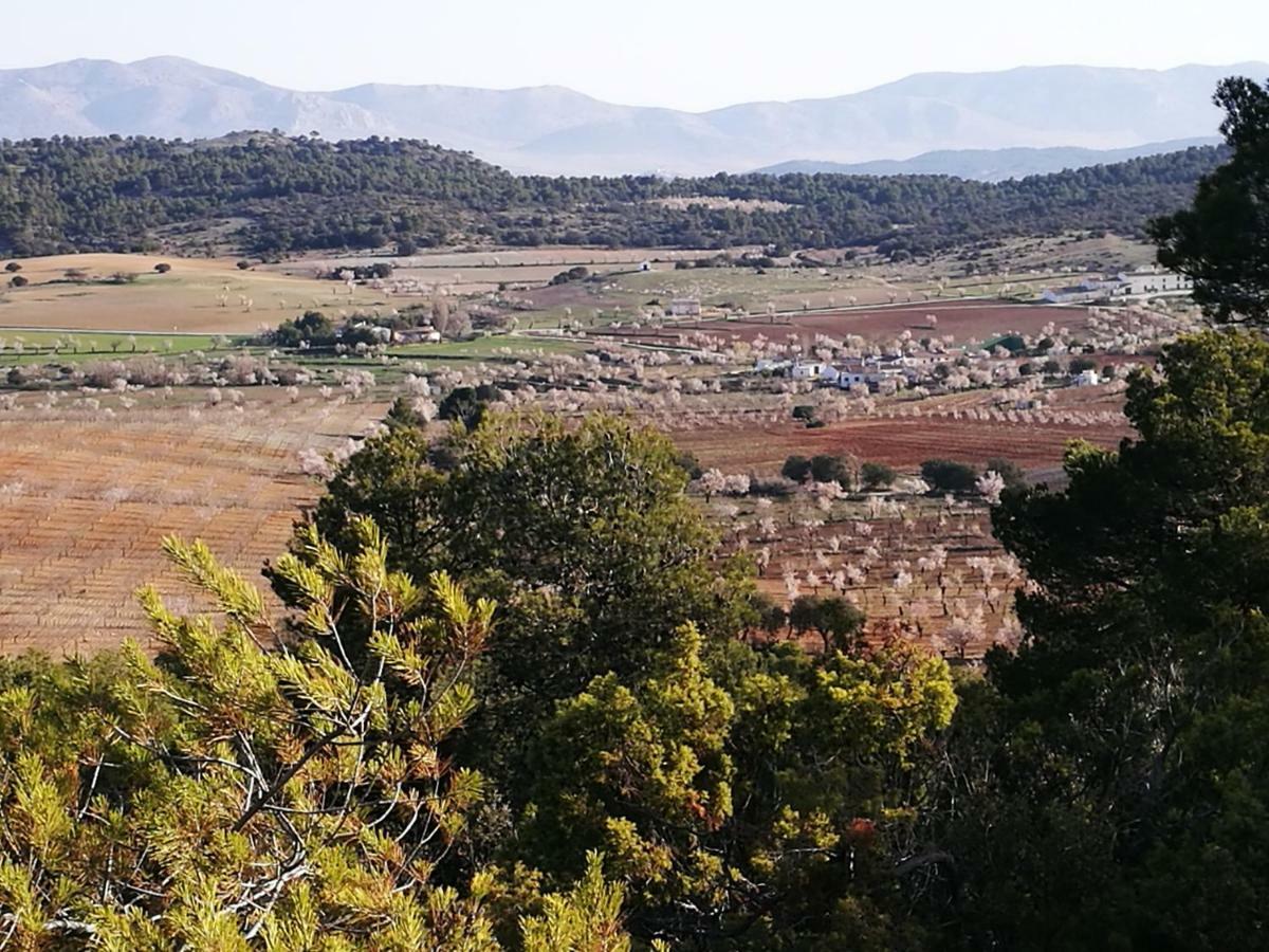 Cortijo Los Soledad El Sauco 외부 사진